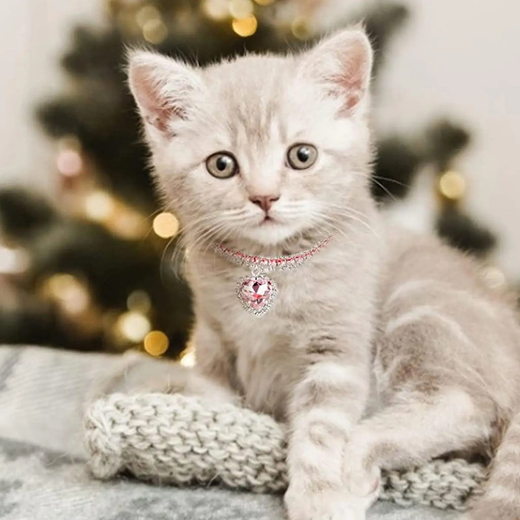 Kristallhalsband für Haustiere