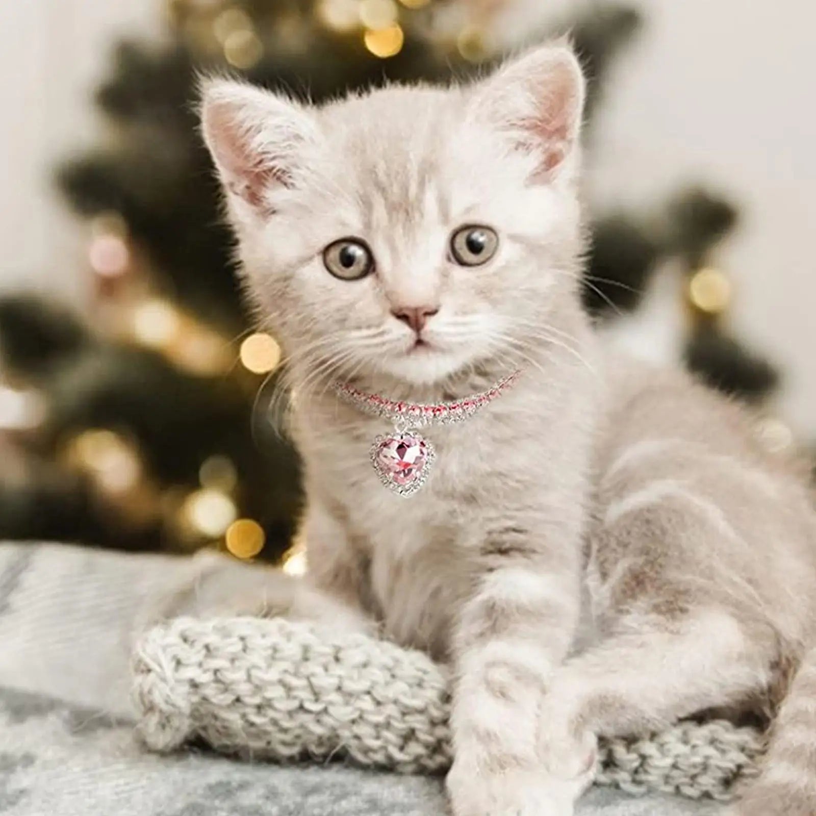 Kristallhalsband für Haustiere