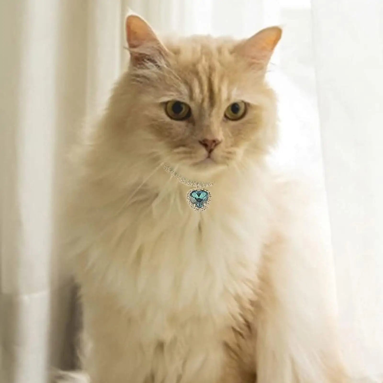 Kristallhalsband für Haustiere