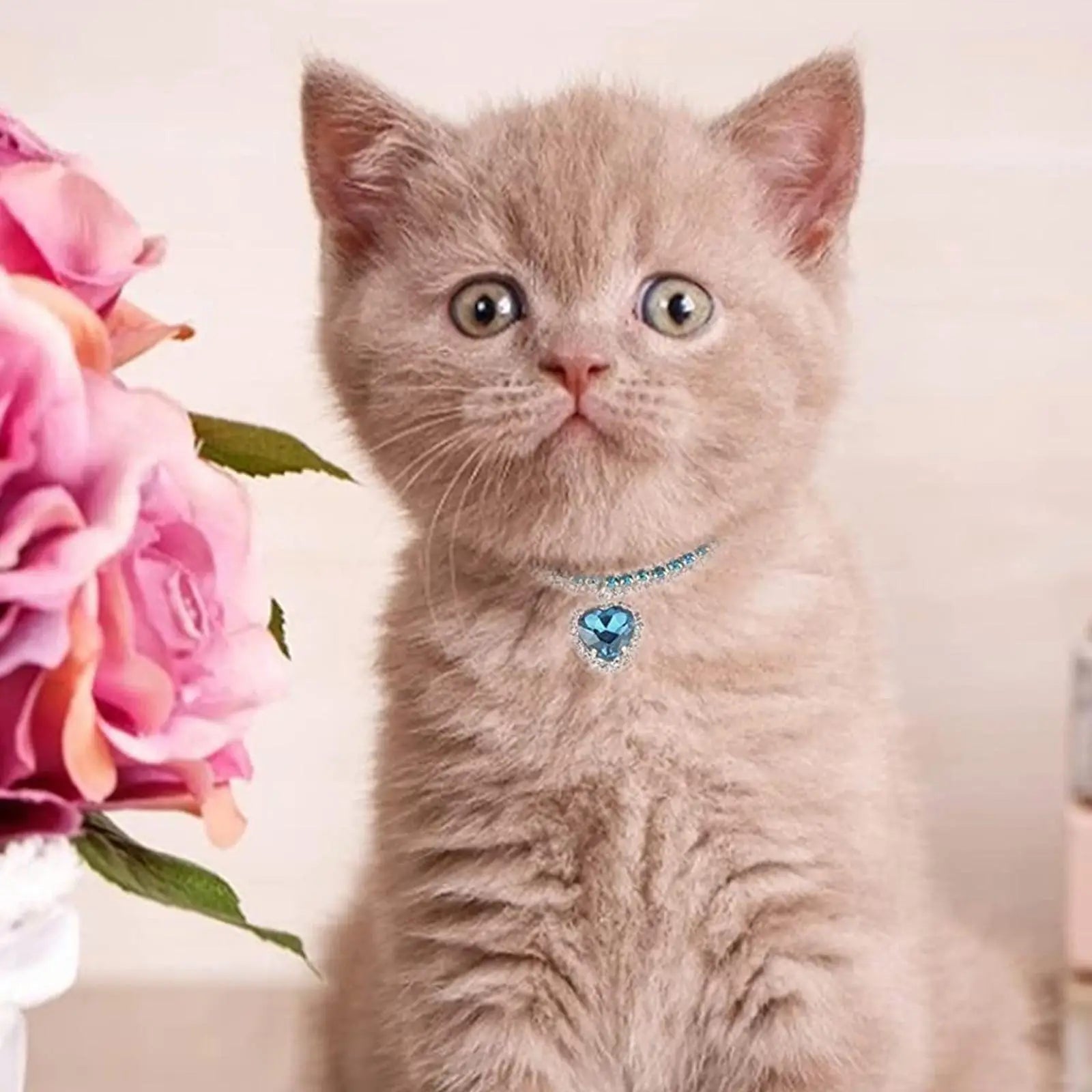 Kristallhalsband für Haustiere