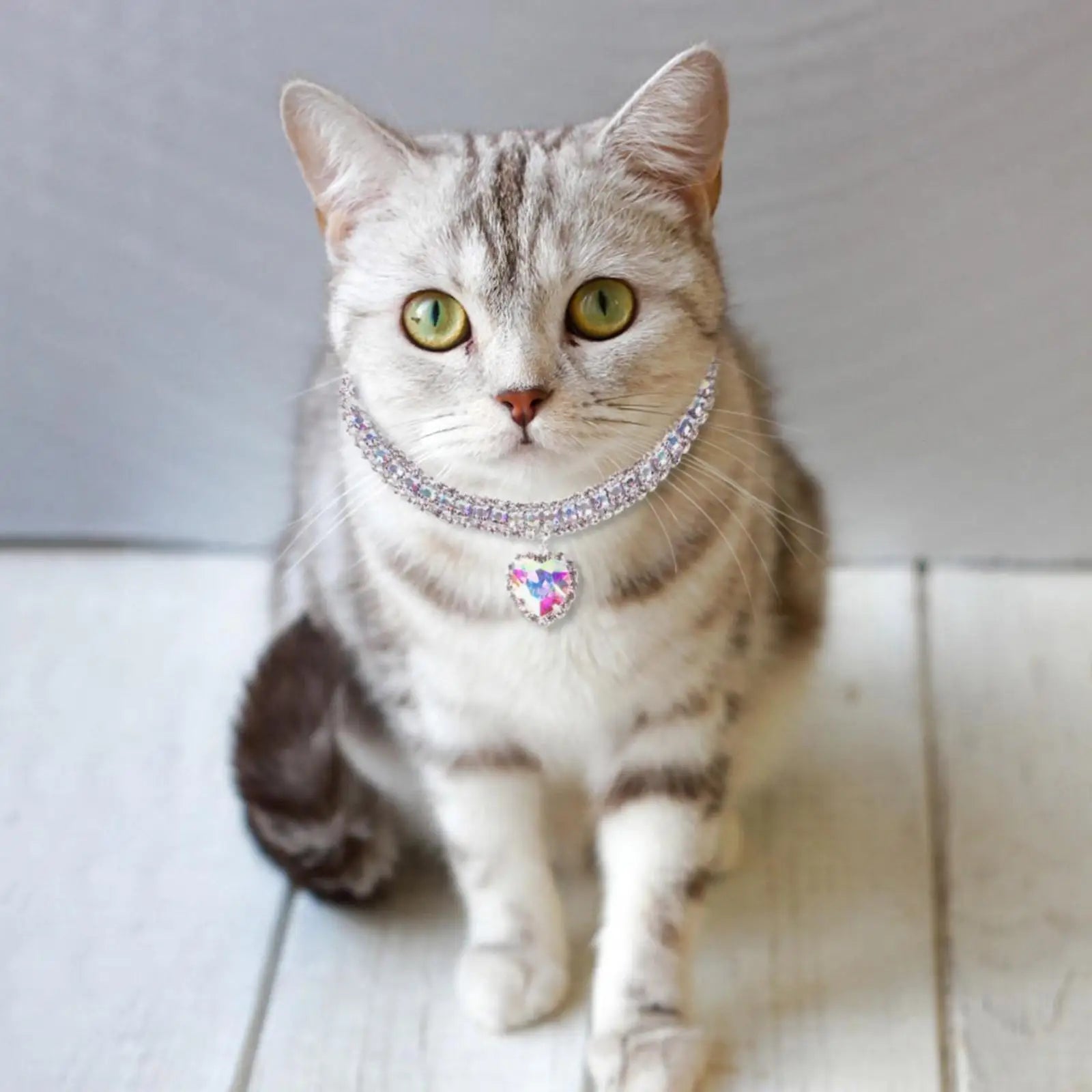 Crystal Pet Collar
