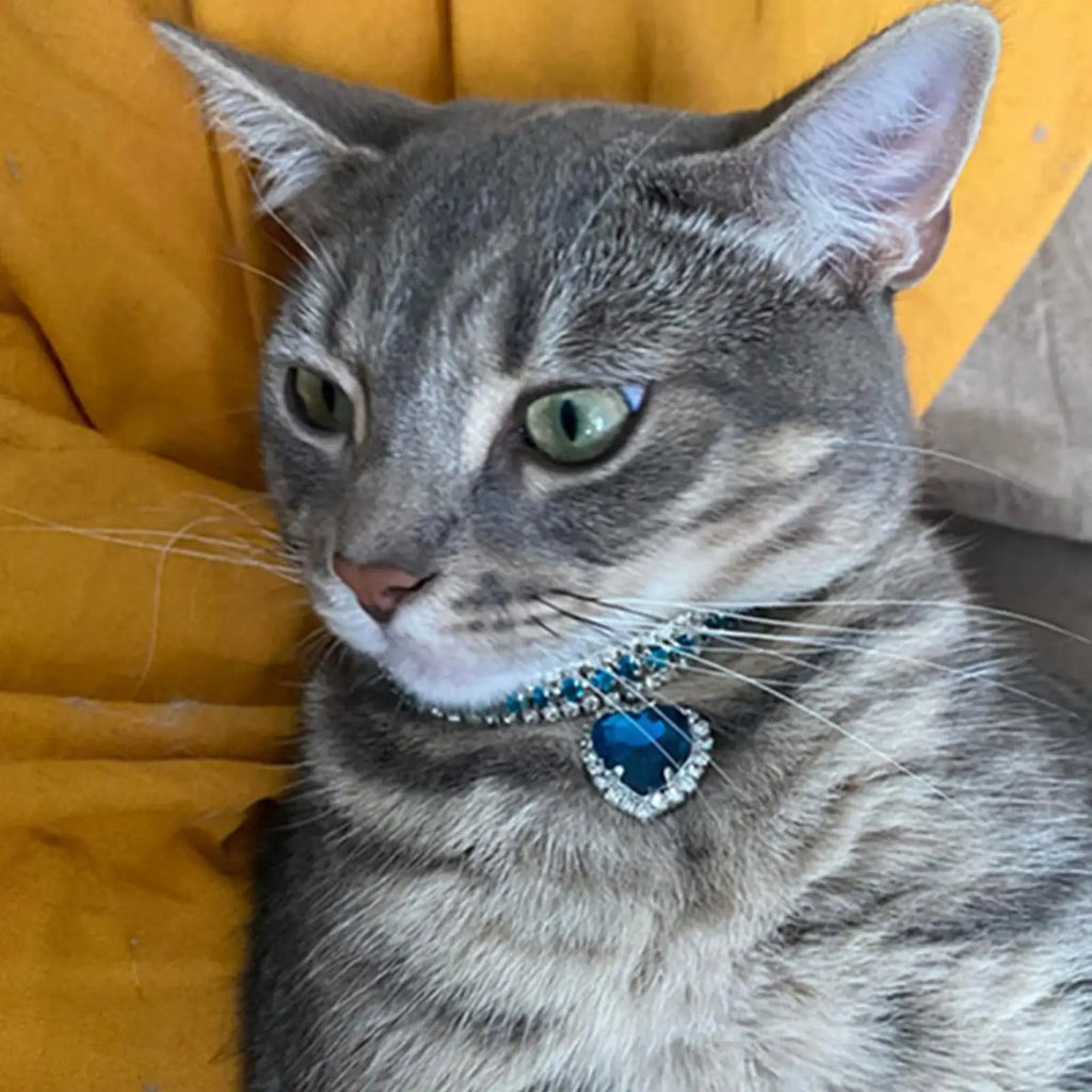 Kristallhalsband für Haustiere