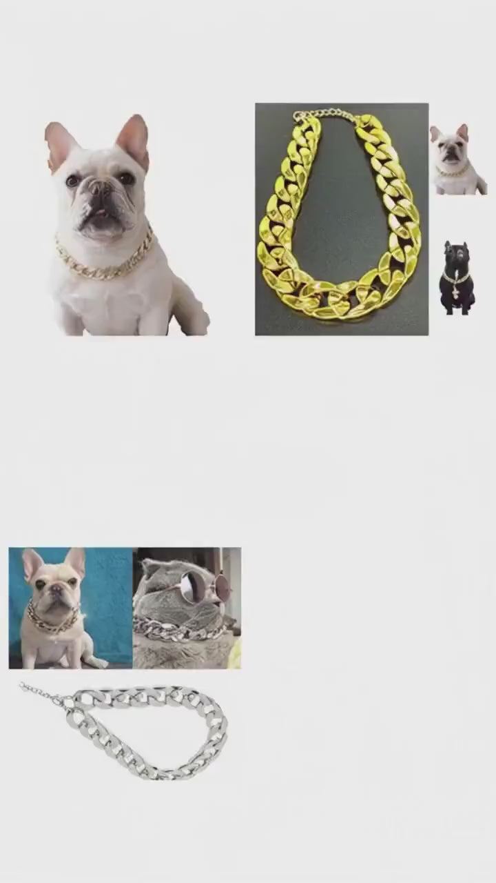 Haustier-Halskette für mittelgroße und kleine Hunde